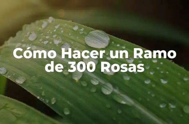 Cómo Hacer un Ramo de 300 Rosas