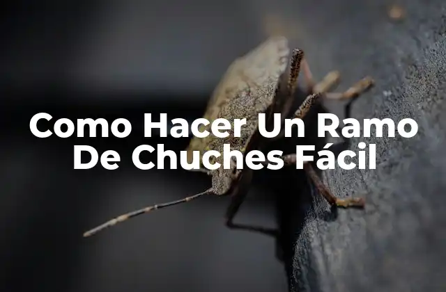 ¿Qué es un Ramo de Chuches y Para Qué Sirve?