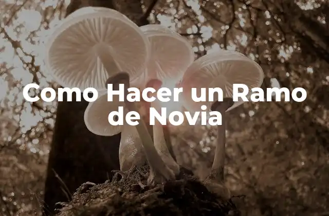 Como Hacer un Ramo de Novia