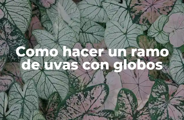 Como Hacer un Ramo de Uvas con Globos 2 Como hacer un ramo de uvas con globos