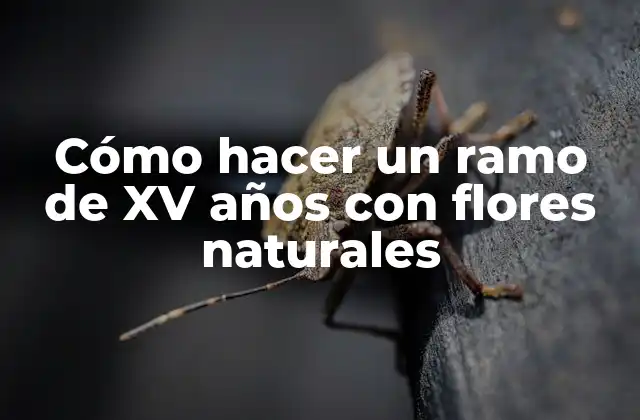 Cómo Hacer un Ramo de Xv Años con Flores Naturales
