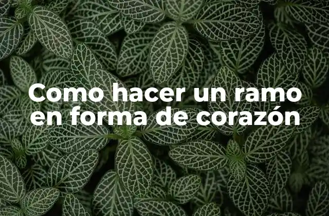 Como Hacer un Ramo en Forma de Corazón