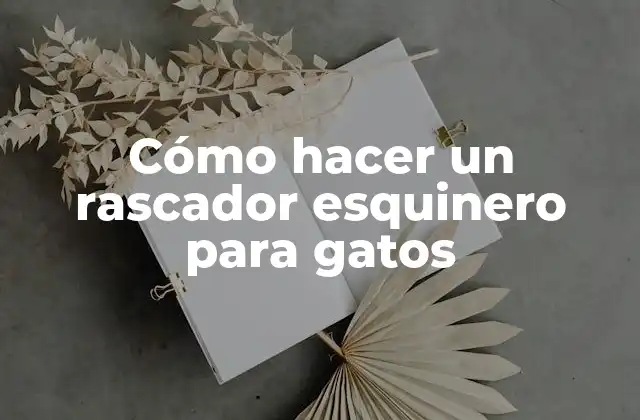 Cómo Hacer un Rascador Esquinero para Gatos