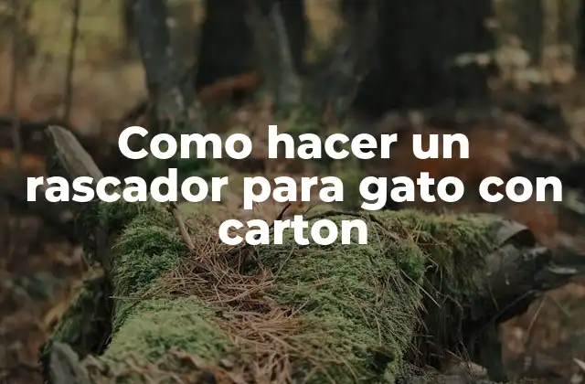 Como Hacer un Rascador para Gato con Carton