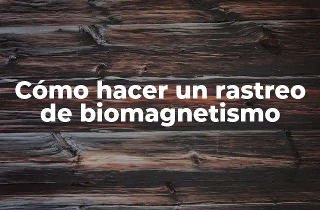 Cómo Hacer un Rastreo de Biomagnetismo