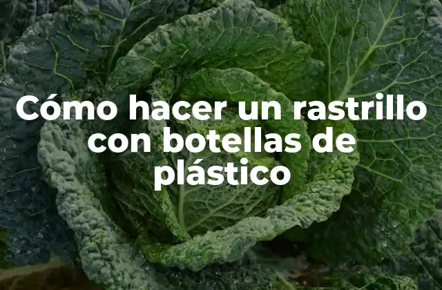 Cómo Hacer un Rastrillo con Botellas de Plástico 2 ¿Qué es un rastrillo y para qué sirve?