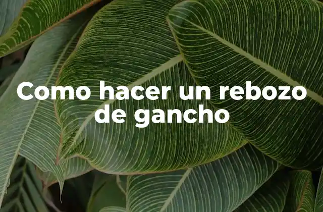 Como Hacer un Rebozo de Gancho