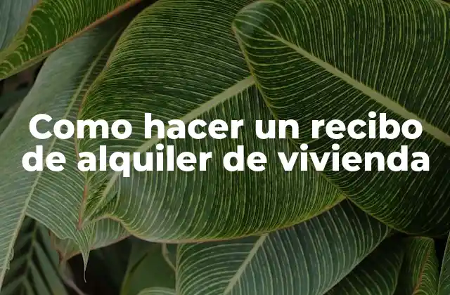 Como Hacer un Recibo de Alquiler de Vivienda