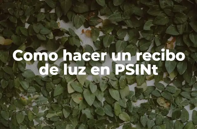 Como Hacer un Recibo de Luz en Psint