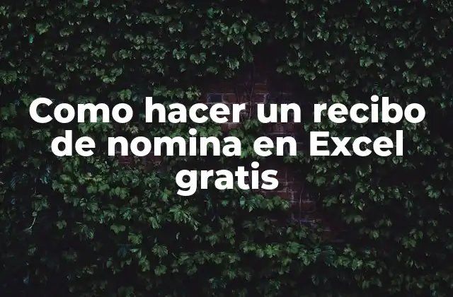 Como Hacer un Recibo de Nomina en Excel Gratis