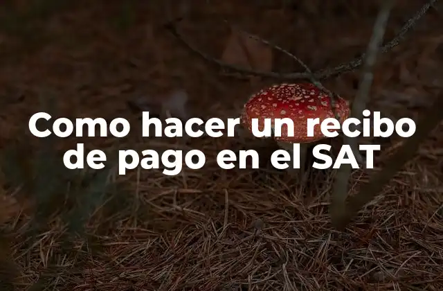 Como Hacer un Recibo de Pago en el Sat