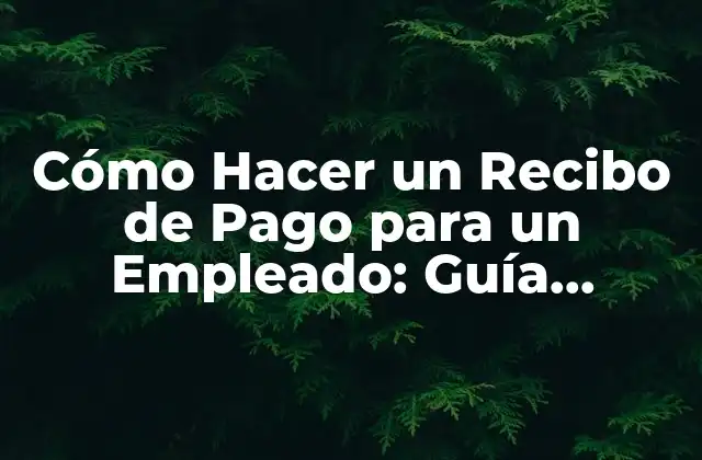 Cómo Hacer un Recibo de Pago para un Empleado: Guía Detallada