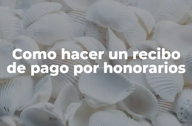 Como Hacer un Recibo de Pago por Honorarios