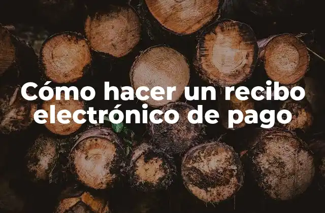 Cómo Hacer un Recibo Electrónico de Pago