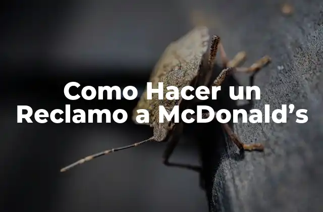 Como Hacer un Reclamo a Mcdonald’s