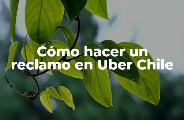 Cómo Hacer un Reclamo en Uber Chile