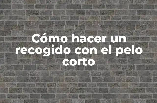 Cómo Hacer un Recogido con el Pelo Corto