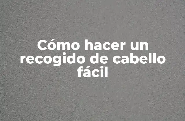 Cómo Hacer un Recogido de Cabello Fácil