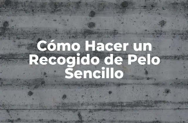 Cómo Hacer un Recogido de Pelo Sencillo