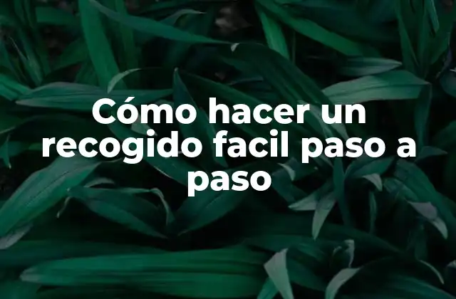 Cómo Hacer un Recogido Facil Paso a Paso
