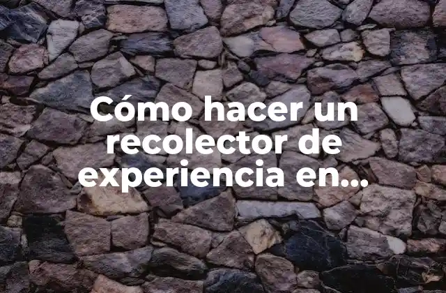 Cómo Hacer un Recolector de Experiencia en Minecraft 2 ¿Qué es un recolector de experiencia en Minecraft?