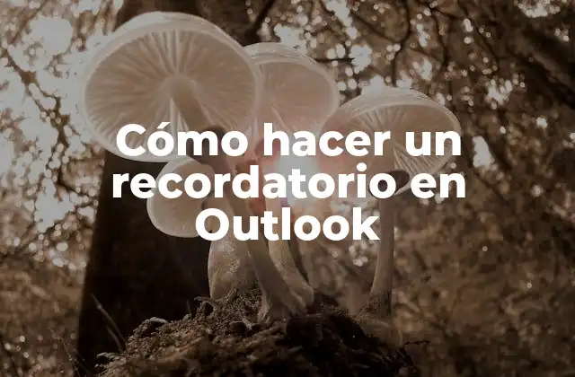 Cómo Hacer un Recordatorio en Outlook