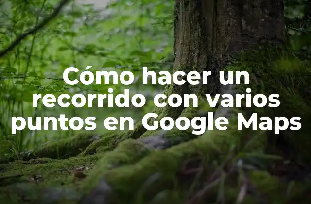 Cómo hacer un recorrido con varios puntos en Google Maps