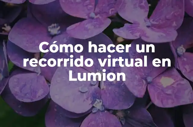 Cómo Hacer un Recorrido Virtual en Lumion