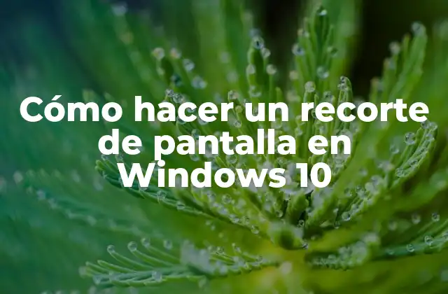 Cómo Hacer un Recorte de Pantalla en Windows 10