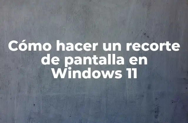Cómo Hacer un Recorte de Pantalla en Windows 11