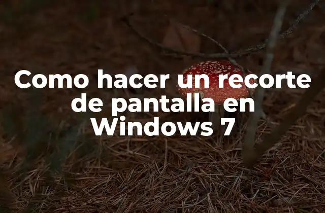 Como Hacer un Recorte de Pantalla en Windows 7