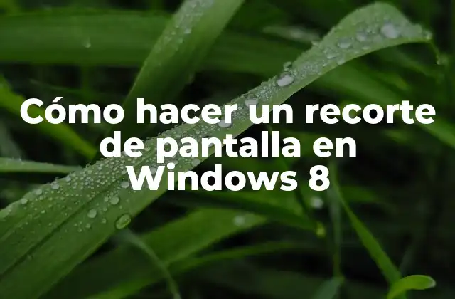 Cómo Hacer un Recorte de Pantalla en Windows 8