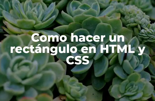 Como Hacer un Rectángulo en Html y Css