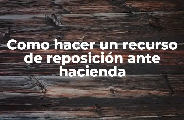 Como Hacer un Recurso de Reposición ante Hacienda