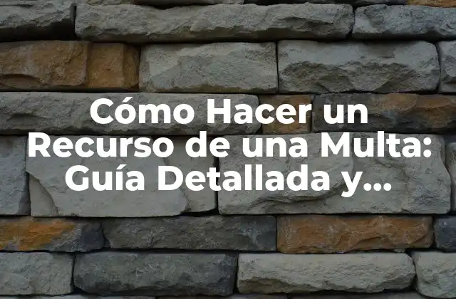 Cómo Hacer un Recurso de una Multa: Guía Detallada y Completa