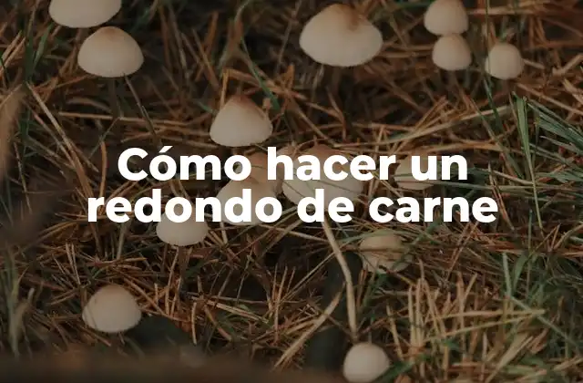 Cómo Hacer un Redondo de Carne