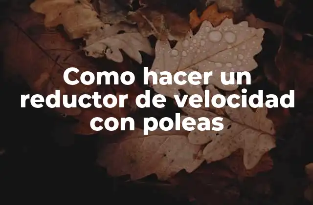 Como Hacer un Reductor de Velocidad con Poleas