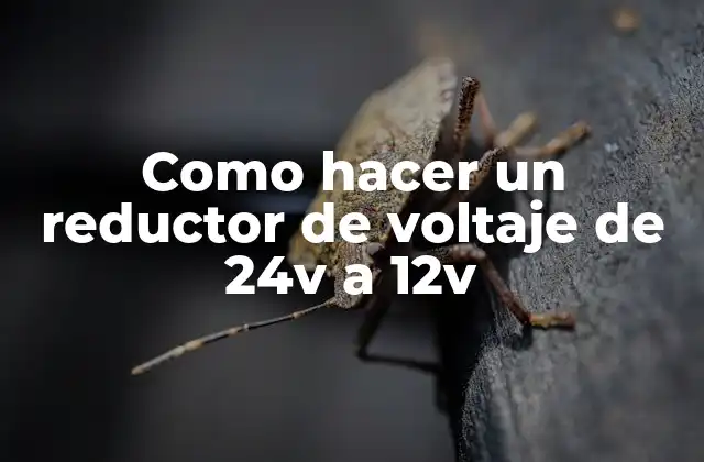 Como Hacer un Reductor de Voltaje de 24v a 12v