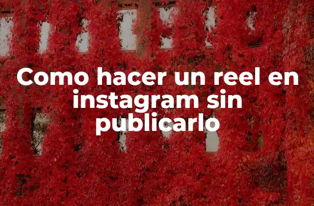 Como Hacer un Reel en Instagram sin Publicarlo