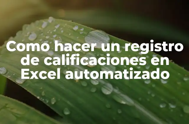 Como Hacer un Registro de Calificaciones en Excel Automatizado