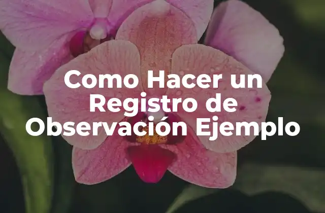 Como Hacer un Registro de Observación Ejemplo