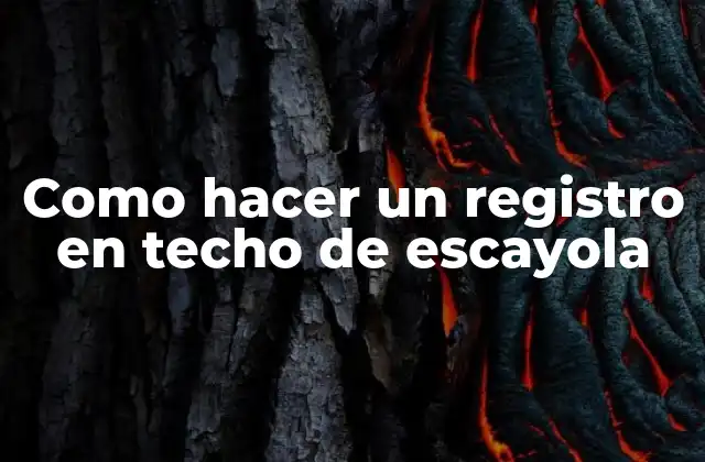 Como Hacer un Registro en Techo de Escayola