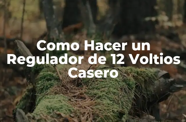Como Hacer un Regulador de 12 Voltios Casero