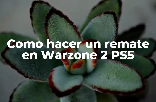 Como Hacer un Remate en Warzone 2 Ps5