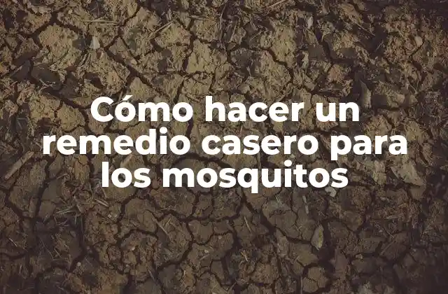 Cómo Hacer un Remedio Casero para los Mosquitos