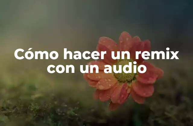 Cómo Hacer un Remix con un Audio 2 Cómo hacer un remix con un audio