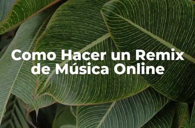 Como Hacer un Remix de Música Online