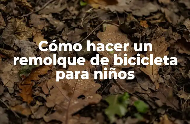 Cómo Hacer un Remolque de Bicicleta para Niños