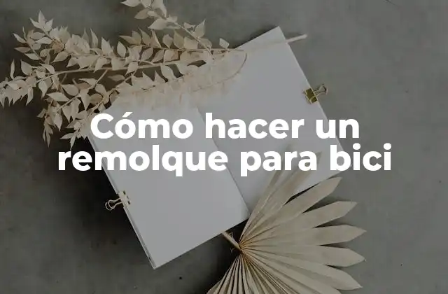 Cómo Hacer un Remolque para Bici