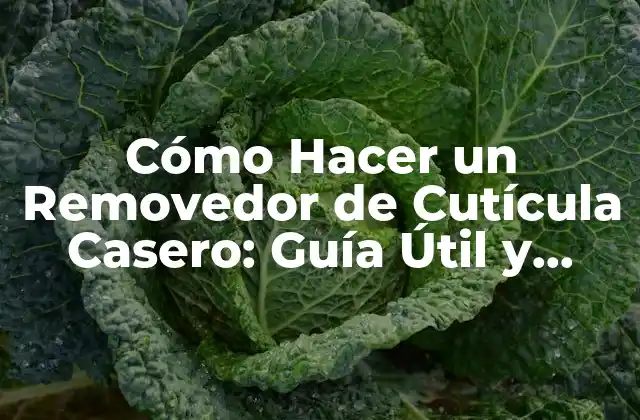 Cómo Hacer un Removedor de Cutícula Casero: Guía Útil y Efectiva